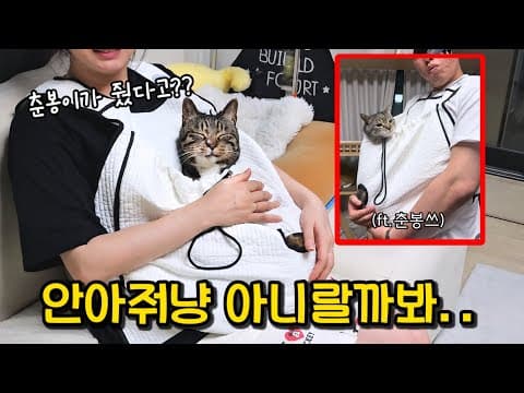 춘봉이가 보내준 선물이 마음에 든 호동이의 애틋한 행동 (어쩜 이래ㅠ) : 보는 사람까지 착하게 만드는 고양이