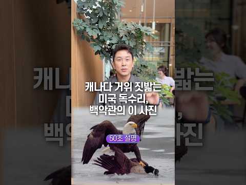 캐나다 거위 짓밟는 미국 독수리, 백악관의 이 사진… 50초 안에 설명하기