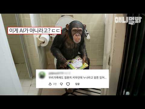 [#댓글모음집] 네가 왜 변기에 앉아있는 건데 #TV동물농장 #AnimalFarm #애니멀봐