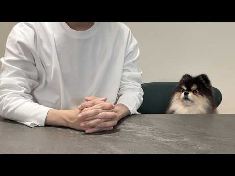 안녕하세요 혜안입니다
